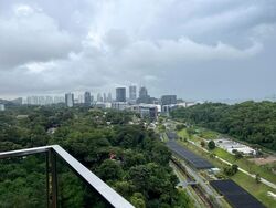 Normanton Park (D5), Apartment #582934281